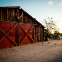 Desert Foothills