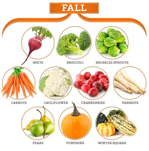 Seasonal Foods